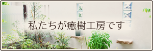 エクステリア・外構/癒樹工房紹介