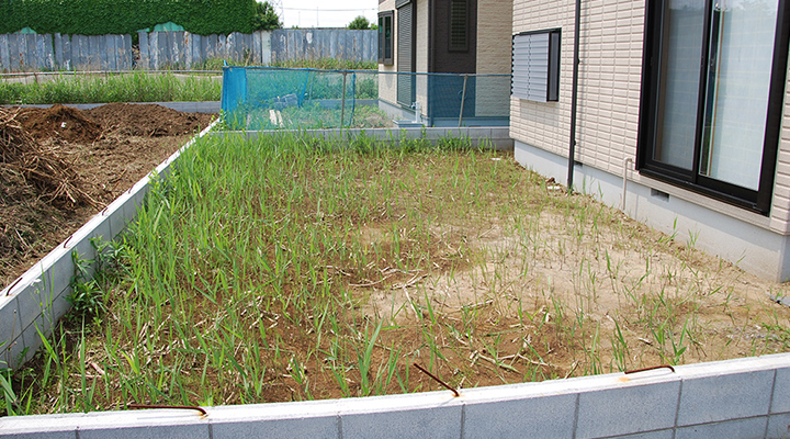 Before