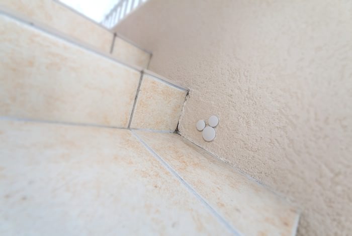 玄関へと向かう階段の足元には、隠れミッキーが。大きさの違う円のタイルを使い、かわいく表現できました。
garden-reform-kitami008