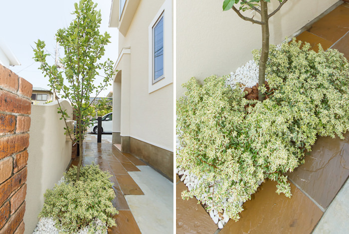 中庭へと続く通路にも株立ちの木を植えました。根元には明るい植栽を植え、色違いの植栽スペースで目を楽しませてくれます。泥はね防止に化粧砂利も敷きました。
《新築エクステリア工事写真集》-勝又様邸-11