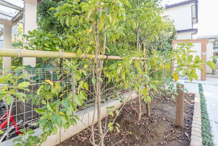 隣地境界にある低めのメッシュフェンスをカバーするように、生垣をプラスしました。植栽を育てるのが苦手な方も花壇のようにしっかりと区切ることで、心理的に管理しやすくなります。
