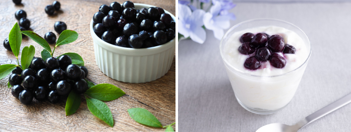 ブルーベリー 癒樹工房 ゆうきこうぼう