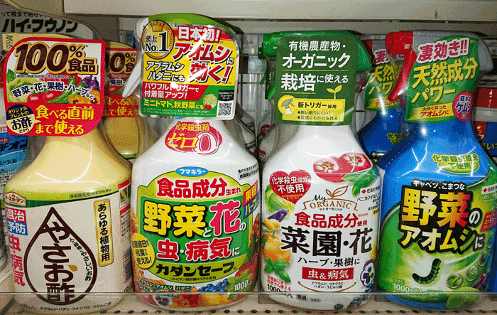 パンジー ビオラ 三色菫 癒樹工房 ゆうきこうぼう パンジー ビオラ 三色菫 癒樹工房 ゆうきこうぼう