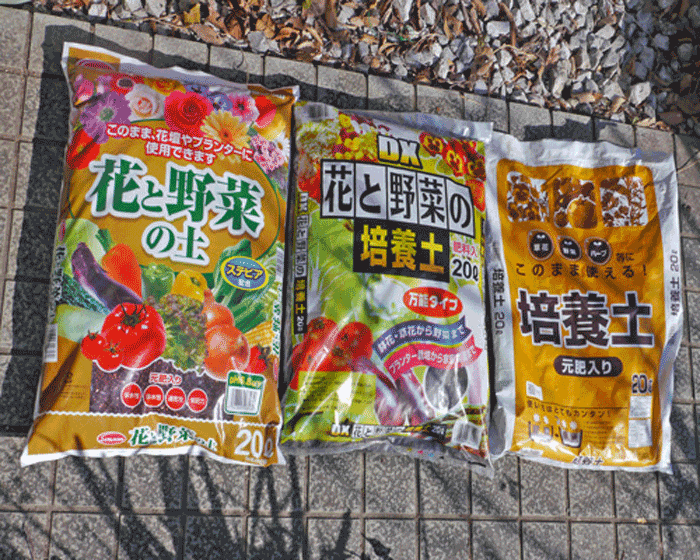 パンジー ビオラ 三色菫 癒樹工房 ゆうきこうぼう パンジー ビオラ 三色菫 癒樹工房 ゆうきこうぼう